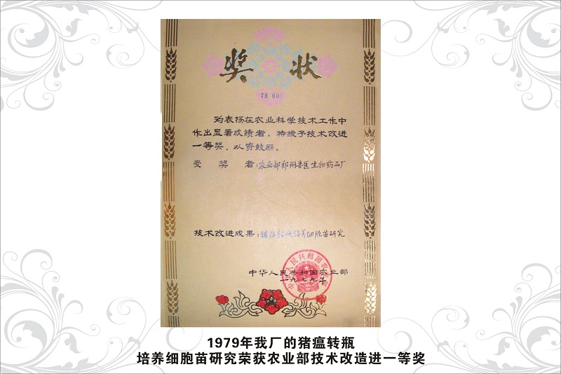 7農(nóng)業(yè)部技術(shù)改進(jìn)一等獎(jiǎng)（1979年）.jpg
