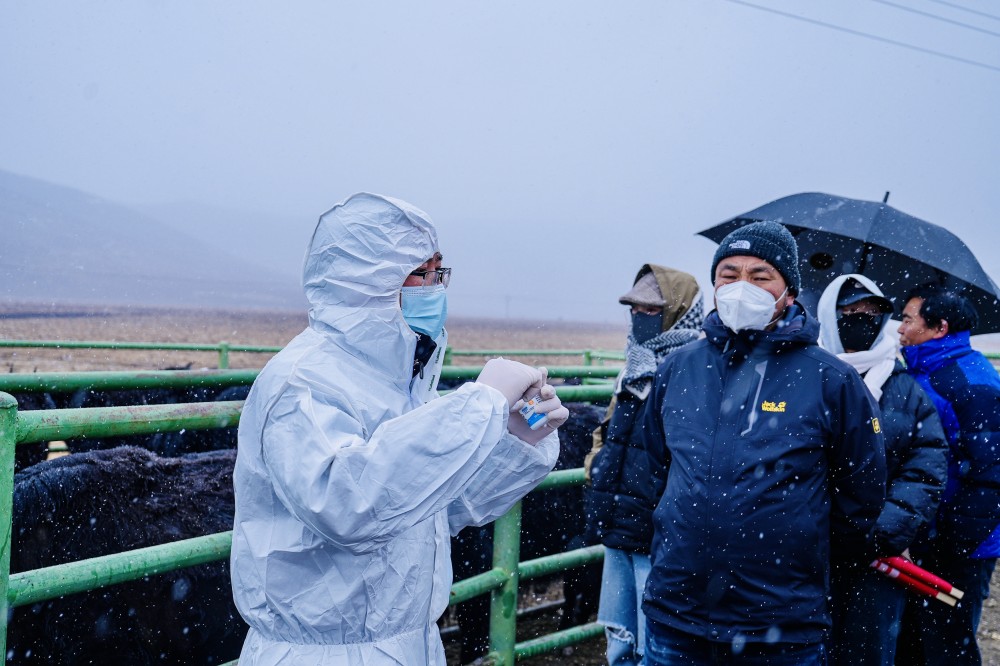 4_副本.jpg 4_副本.jpg